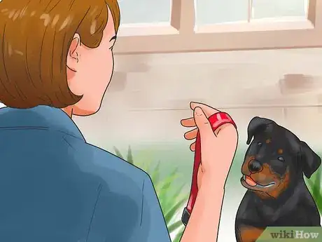 Image titled Train a Rottweiler Step 5