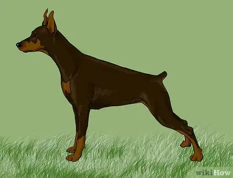 Image titled Draw a Realistic Dog Intro