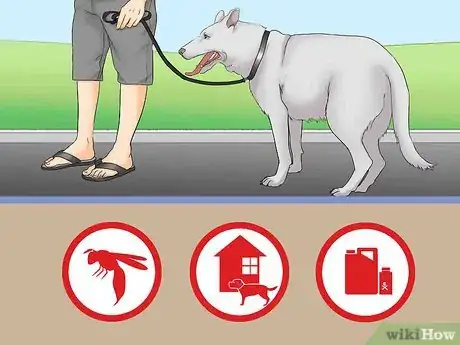 Image titled Treat Anaphylactic Shock in a Dog Step 7