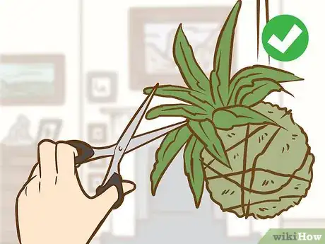 Image titled Make a Kokedama Step 13