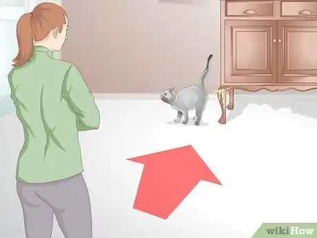 Image titled Get Rid of Cat Spray Odor Step 11