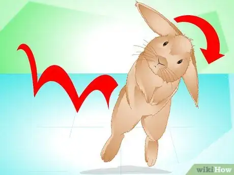 Image titled Determine if Your Rabbit Is Sick Step 15