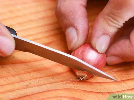 Image titled Make Curry Paste Step 1