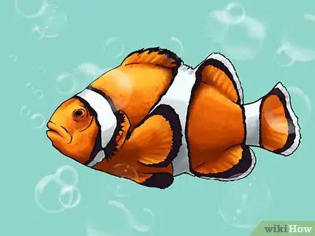 Image titled Draw a Clownfish Step 8