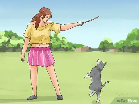 Image titled Stop Aggressive Behavior in Dogs Step 18