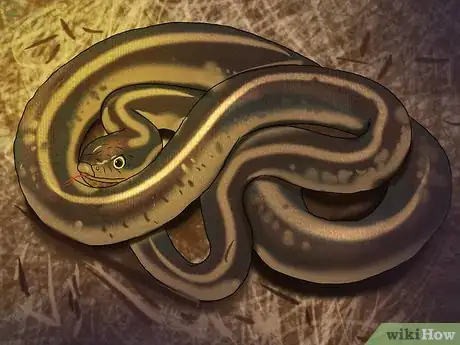 Image titled Identify Garden Snakes Step 1