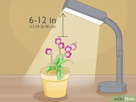 Image titled Care for Mini Orchids Step 4