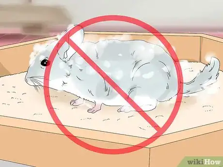 Image titled Treat Eye Irritations in Chinchillas Step 10