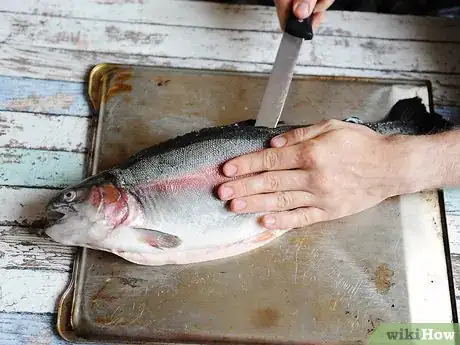 Image titled Prepare Salmon for Sushi Step 10