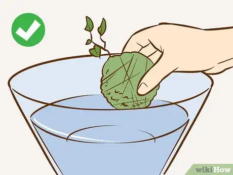 Image titled Make a Kokedama Step 12