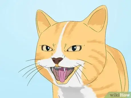 Image titled Use a Spray Bottle on a Cat for Training Step 4