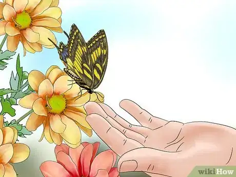 Image titled Easily Catch a Butterfly with Your Hand Step 2