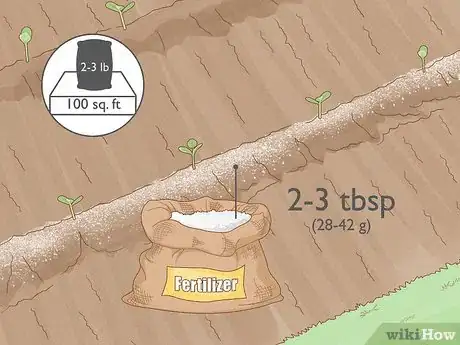 Image titled Grow Acorn Squash Step 11