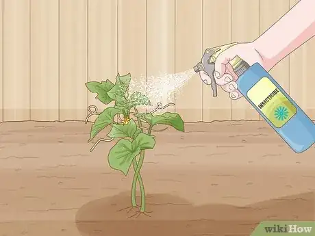 Image titled Grow Cucumbers Step 19