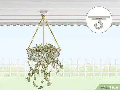 Image titled Hang Plants Without Holes Step 1