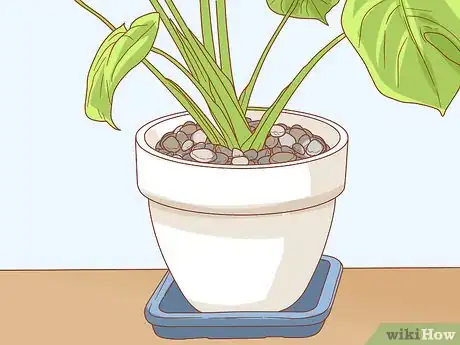 Image titled Protect Your Houseplants from Pets Step 8