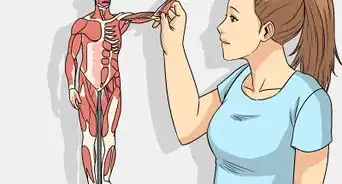 Study Muscle Anatomy