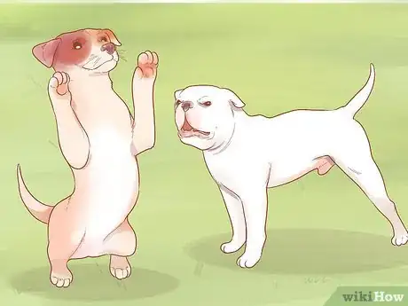 Image titled Be Your Dog's Best Friend Step 1