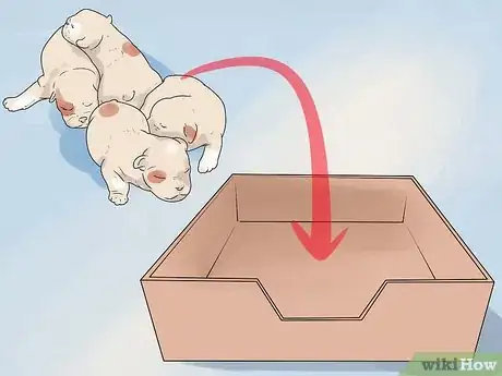 Image titled Help Your Dog Whelp or Deliver Puppies Step 7