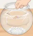 Clean a Betta Fish Bowl