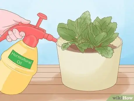 Image titled Why Does Your Plant Have White Spots Step 6