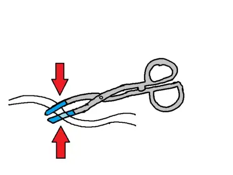 Image titled 10 clamp tube.png