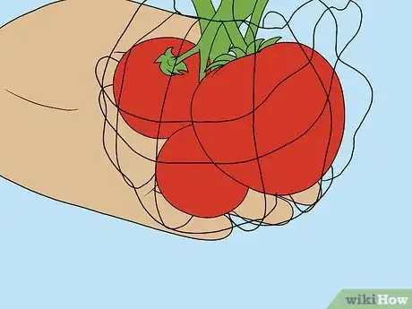 Image titled Support Tomato Plants in Pots Step 13