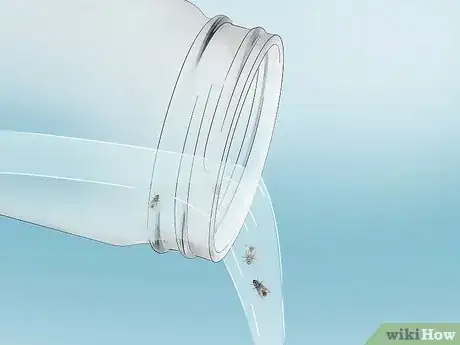 Image titled Make a Fly Trap Step 17