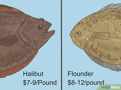 Image titled Flounder vs Halibut Step 3