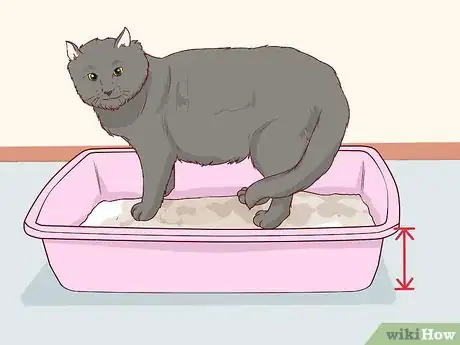 Image titled Get Cat Urine Out of a Mattress Step 17