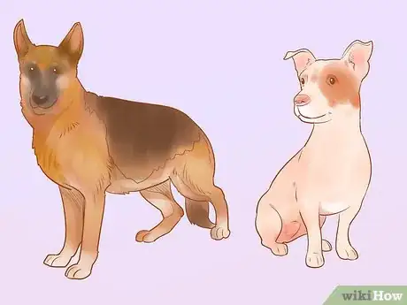 Image titled Choose a Dog Step 11