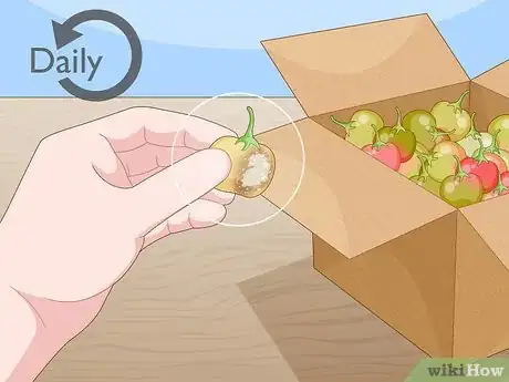 Image titled Ripen Green Tomatoes Step 10