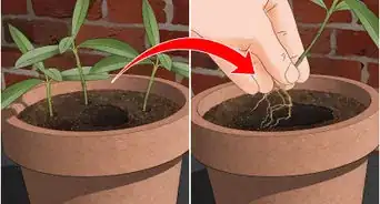 Take Cuttings