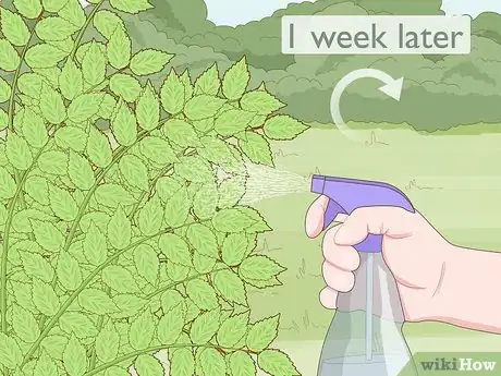 Image titled Get Rid of Poison Ivy Plants Step 10