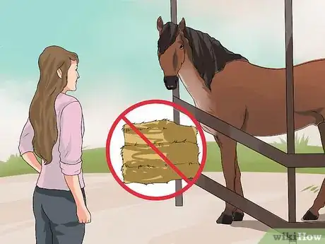 Image titled Treat Heaves in Horses Step 1