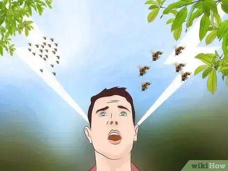 Image titled Identify Africanized Honey Bees Step 2