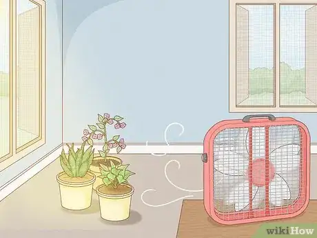 Image titled Get Rid of Mold on Houseplants Step 11