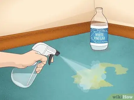 Image titled Clean a Carpet by Hand Step 10