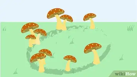 Image titled Kill Mushrooms Step 12