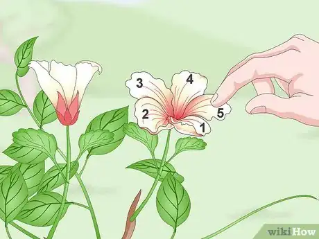 Image titled Identify Flowers Step 8