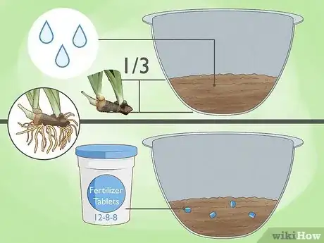 Image titled Plant Aquatic Plants Step 10