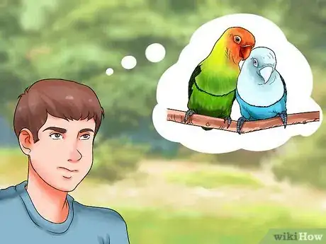 Image titled Care for a Lovebird Step 1