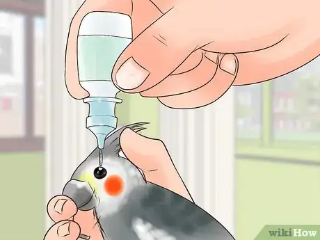 Image titled Treat Conjunctivitis in Cockatiels Step 6