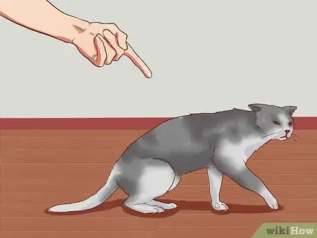 Image titled Discipline Cats Step 15