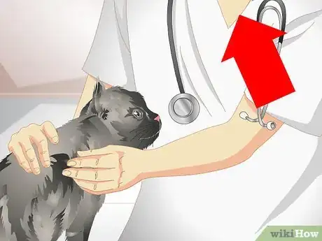 Image titled Remove Urine Smells from a Pet Step 15