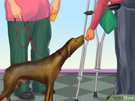 Image titled Get a Service Dog if You're Blind or Visually Impaired Step 9