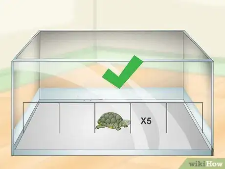 Image titled Care for a Turtle Step 1