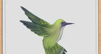 Draw Hummingbirds