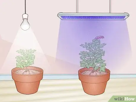 Image titled Can LED Lights Grow Plants Step 2