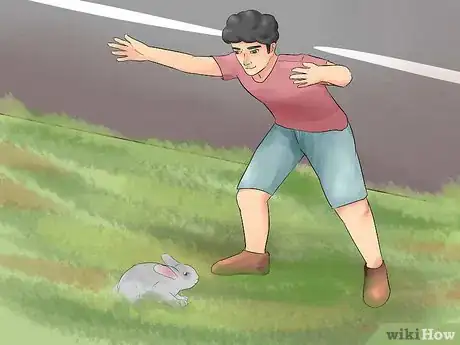 Image titled Catch a Pet Rabbit Step 15